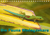 Buchcover Die Fauna Madagaskars (Tischkalender 2021 DIN A5 quer)