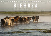 Buchcover Biebrza. Glücklicher Fluss (Tischkalender 2021 DIN A5 quer)