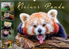 Buchcover Kleiner Panda (Wandkalender 2021 DIN A2 quer)