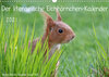 Buchcover Der literarische Eichhörnchen-Kalender (Wandkalender 2021 DIN A3 quer)