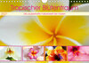 Buchcover Tropischer Blütentraum (Wandkalender 2021 DIN A4 quer)