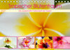 Buchcover Tropischer Blütentraum (Tischkalender 2021 DIN A5 quer)