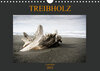 Buchcover Treibholz Costa Rica (Wandkalender 2021 DIN A4 quer)