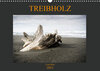 Buchcover Treibholz Costa Rica (Wandkalender 2021 DIN A3 quer)