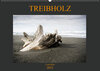 Buchcover Treibholz Costa Rica (Wandkalender 2021 DIN A2 quer)