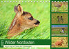 Buchcover Wilder Nordosten - Aug in Aug mit Tieren der Ostseeregion (Tischkalender 2021 DIN A5 quer)