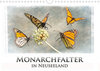 Buchcover Monarchfalter in Neuseeland (Wandkalender 2021 DIN A4 quer)