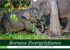 Buchcover Borneos Zwergelefanten (Wandkalender 2021 DIN A3 quer)