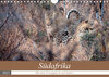 Buchcover Südafrika - Mit dem Fotoapparat auf Safari. (Wandkalender 2021 DIN A4 quer)