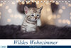Buchcover Wildes Wohnzimmer - Die Bengalkatze (Tischkalender 2021 DIN A5 quer)