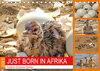 Buchcover JUST BORN IN AFRIKA Kalahari Straussen Babies (Tischkalender 2021 DIN A5 quer)