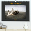 Buchcover Treibholz Costa Rica (Premium, hochwertiger DIN A2 Wandkalender 2021, Kunstdruck in Hochglanz)