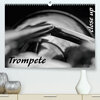 Buchcover Trompete - Close up (Premium, hochwertiger DIN A2 Wandkalender 2021, Kunstdruck in Hochglanz)