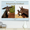 Buchcover Bulgarische Großesel - Schwarze Schönheiten (Premium, hochwertiger DIN A2 Wandkalender 2021, Kunstdruck in Hochglanz)