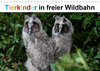 Buchcover Tierkinder in freier Wildbahn (Wandkalender 2021 DIN A4 quer)