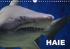 Buchcover Haie (Wandkalender 2022 DIN A4 quer)