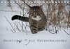 Buchcover Haustiger - Ein Katzenkalender (Tischkalender 2022 DIN A5 quer)