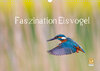 Buchcover Faszination Eisvogel (Wandkalender 2022 DIN A3 quer)