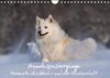Buchcover Hundespaziergänge - Momente des Glücks und der Dankbarkeit (Wandkalender 2022 DIN A4 quer)