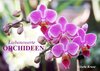 Buchcover Liebenswerte Orchideen (Premium, hochwertiger DIN A2 Wandkalender 2022, Kunstdruck in Hochglanz)