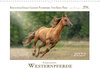 Buchcover Faszination Westernpferde (Wandkalender 2022 DIN A3 quer)