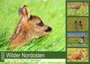 Buchcover Wilder Nordosten - Aug in Aug mit Tieren der Ostseeregion (Wandkalender 2022 DIN A2 quer)