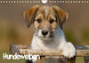 Buchcover Hundewelpen (Wandkalender 2022 DIN A4 quer)