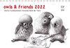 Buchcover owls & friends 2022 (Tischkalender 2022 DIN A5 quer)