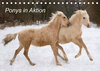 Buchcover Ponys in Aktion (Tischkalender 2022 DIN A5 quer)