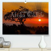 Buchcover Emotionale Momente: Afrika Wildlife Part 2 / CH-Version (Premium, hochwertiger DIN A2 Wandkalender 2022, Kunstdruck in H