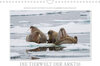 Buchcover Emotionale Momente: Die Tierwelt der Arktis / CH-Version (Wandkalender 2022 DIN A4 quer)