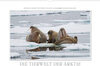 Buchcover Emotionale Momente: Die Tierwelt der Arktis / CH-Version (Wandkalender 2022 DIN A2 quer)