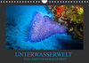 Buchcover Unterwasserwelt - Das Leben am Korallenriff (Wandkalender 2022 DIN A4 quer)