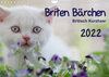 Buchcover Briten Bärchen – Britsch Kurzhaar 2022 (Wandkalender 2022 DIN A4 quer)