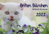 Buchcover Briten Bärchen – Britsch Kurzhaar 2022 (Wandkalender 2022 DIN A3 quer)