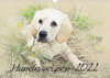 Buchcover Hundewelpen 2022 (Wandkalender 2022 DIN A3 quer)