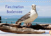 Buchcover Faszination Bodensee (Tischkalender 2022 DIN A5 quer)