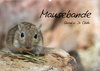 Buchcover Mausebande (Wandkalender 2022 DIN A2 quer)