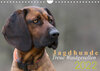 Buchcover Jagdhunde - Treue Waidgesellen (Wandkalender 2022 DIN A4 quer)