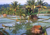 Buchcover Peter Fischer - Bali 2022 (Wandkalender 2022 DIN A3 quer)
