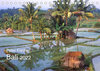 Buchcover Peter Fischer - Bali 2022 (Tischkalender 2022 DIN A5 quer)