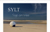 Buchcover Sylt - Tage am Meer (Wandkalender 2022 DIN A3 quer)