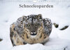Buchcover Schneeleoparden (Wandkalender 2022 DIN A4 quer)