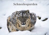 Buchcover Schneeleoparden (Wandkalender 2022 DIN A3 quer)