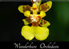Buchcover Wunderbare Orchideen (Wandkalender 2022 DIN A3 quer)