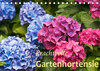 Buchcover Prachtvolle Gartenhortensie (Tischkalender 2022 DIN A5 quer)