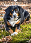 Buchcover Entlebucher Sennenhunde begleiten Sie durch das Jahr (Wandkalender 2022 DIN A4 hoch)