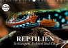 Buchcover Reptilien. Schlangen, Echsen und Co. (Wandkalender 2022 DIN A3 quer)