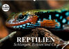 Buchcover Reptilien. Schlangen, Echsen und Co. (Wandkalender 2022 DIN A2 quer)
