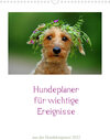 Buchcover Hundeplaner für wichtige Ereignisse (Wandkalender 2022 DIN A3 hoch)